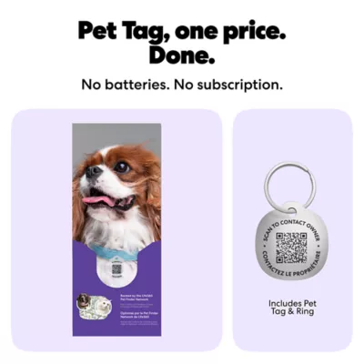 Life360 Smart QR Code Pet ID Tag For Dogs & Cats, App Compatible, Includes Keyring- 1 Pack - Image 4