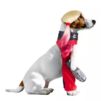 Rubies Pet Shop DC Comics Harley Quinn Walking Pet Costume for Dogs - Image 2