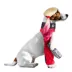Rubies Pet Shop DC Comics Harley Quinn Walking Pet Costume for Dogs image thumbnail 2