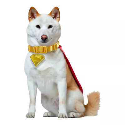 Rubies Pet Shop Superman Krypto Pet Cape & Collar for Dogs - Image 1