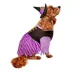 Rubies Pet Shop Witch Dress Pet Costume for Dogs image thumbnail 3
