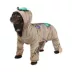 Rubies Pet Shop Ancient Mummy Pet Costume for Dogs image thumbnail 1