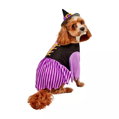 Rubies Pet Shop Witch Dress Pet Costume for Dogs - Image 1