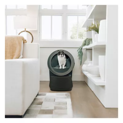 LITTER-ROBOT® EVO RAMP - Image 5