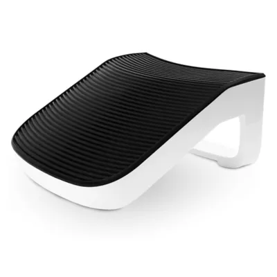 LITTER-ROBOT® EVO RAMP - Image 1