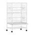 PawHut 52''H Large Rolling Steel Bird Cage with Rolling Stand, Storage Shelf, Wood Perch, Food Bowl image thumbnail 1