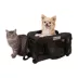Sherpa On Wheels Pet Carrier For Cats & Dogs Up to 16 Lbs W/ 360 Degree Front Swivel Wheels- Medium image thumbnail 1