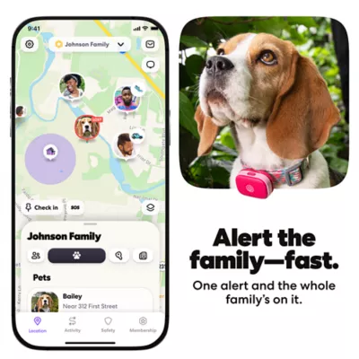 Life360 Pet GPS Tracker for Pets W/ 14-Day Battery Life, Live Tracking & Escape Alerts - Image 4