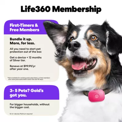 Life360 Pet GPS Tracker for Pets W/ 14-Day Battery Life, Live Tracking & Escape Alerts - Image 6