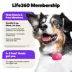 Life360 Pet GPS Tracker for Pets W/ 14-Day Battery Life, Live Tracking & Escape Alerts image thumbnail 6
