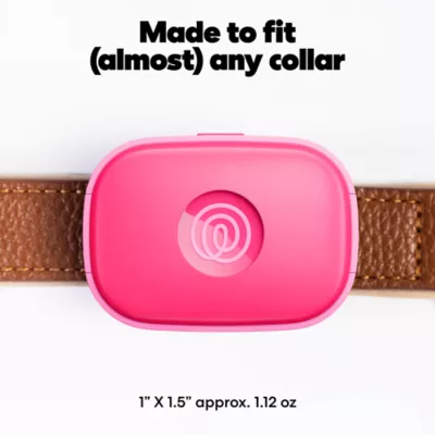 Life360 Pet GPS Tracker for Pets W/ 14-Day Battery Life, Live Tracking & Escape Alerts - Image 7