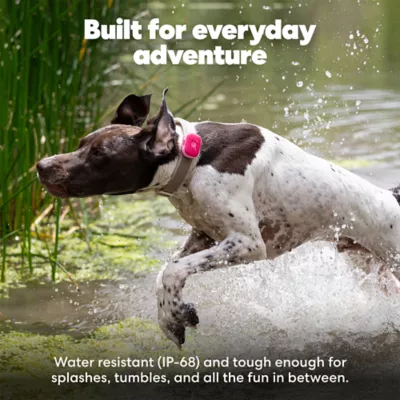 Life360 Pet GPS Tracker for Pets W/ 14-Day Battery Life, Live Tracking & Escape Alerts - Image 9