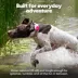Life360 Pet GPS Tracker for Pets W/ 14-Day Battery Life, Live Tracking & Escape Alerts image thumbnail 9