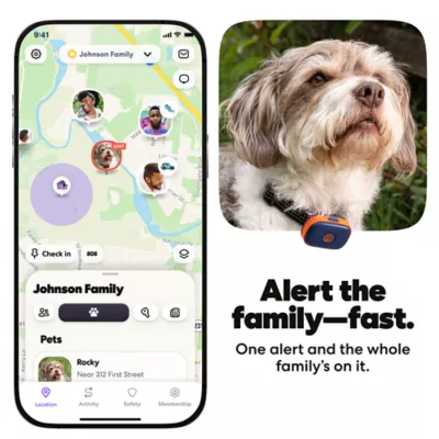 Life360 Pet GPS Tracker for Pets W/ Live Location Tracking & Customizable Virtual Fence Boundaries - Image 4