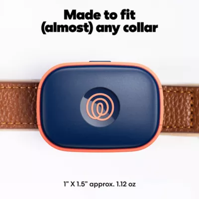 Life360 Pet GPS Tracker for Pets W/ Live Location Tracking & Customizable Virtual Fence Boundaries - Image 5