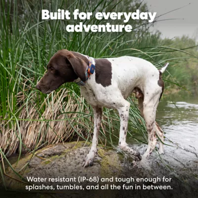 Life360 Pet GPS Tracker for Pets W/ Live Location Tracking & Customizable Virtual Fence Boundaries - Image 8