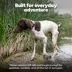 Life360 Pet GPS Tracker for Pets W/ Live Location Tracking & Customizable Virtual Fence Boundaries image thumbnail 8