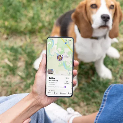 Life360 Pet GPS Tracker for Pets W/ Live Location Tracking & Customizable Virtual Fence Boundaries - Image 9