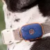 Life360 Pet GPS Tracker for Pets W/ Live Location Tracking & Customizable Virtual Fence Boundaries image thumbnail 10