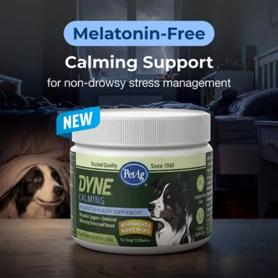 PetAg Dyne Calming Dog Soft Chews with L-Theanine, Stress Support, Chicken, 60 Count - Image 2