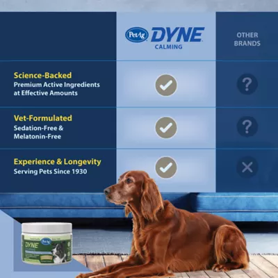 PetAg Dyne Calming Dog Soft Chews with L-Theanine, Stress Support, Chicken, 60 Count - Image 8