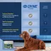PetAg Dyne Calming Dog Soft Chews with L-Theanine, Stress Support, Chicken, 60 Count image thumbnail 8
