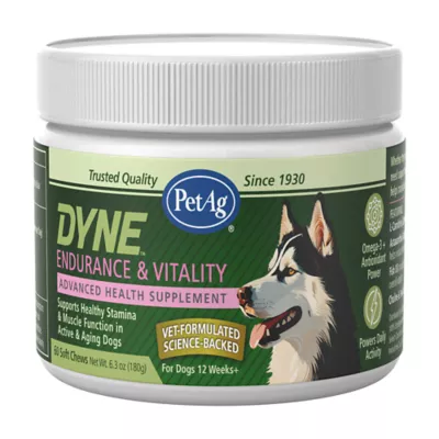 PetAg Dyne Endurance & Vitality Dog Soft Chews with L-Carnitine, Chicken, 60 Count - Image 1