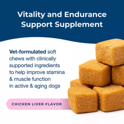 PetAg Dyne Endurance & Vitality Dog Soft Chews with L-Carnitine, Chicken, 60 Count - Image 3