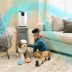 Shark EveryMess Corded Portable Wet & Dry Vac & Stain Remover, 3-in-1 Floor Cleaner W/ 2x Suction image thumbnail 6