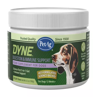 PetAg Dyne Digestion & Immune Dog Soft Shew, Supports Gut Health, Chicken, 60 Count - Image 1
