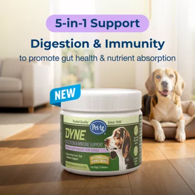 PetAg Dyne Digestion & Immune Dog Soft Shew, Supports Gut Health, Chicken, 60 Count - Image 2