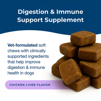 PetAg Dyne Digestion & Immune Dog Soft Shew, Supports Gut Health, Chicken, 60 Count - Image 3