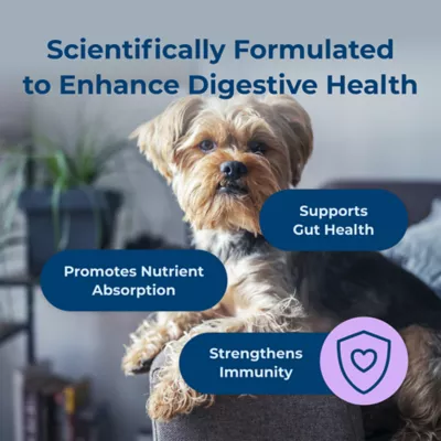 PetAg Dyne Digestion & Immune Dog Soft Shew, Supports Gut Health, Chicken, 60 Count - Image 4