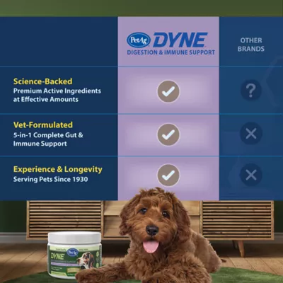 PetAg Dyne Digestion & Immune Dog Soft Shew, Supports Gut Health, Chicken, 60 Count - Image 8