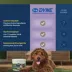 PetAg Dyne Digestion & Immune Dog Soft Shew, Supports Gut Health, Chicken, 60 Count image thumbnail 8