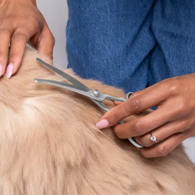 Tweezerman Curved Grooming Shears For Trimming Face, Ears & Paws, Perfect for Lg Cats & Dogs - Image 4