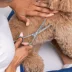 Tweezerman Curved Grooming Shears For Trimming Face, Ears & Paws, Perfect for Lg Cats & Dogs image thumbnail 5