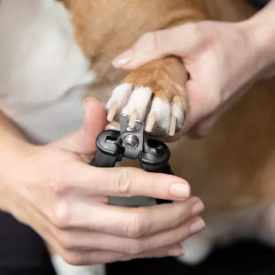 Tweezerman Pet Precision Nail Clipper For Dogs & Cats, Includes Auto-Lock Mechanism For Safe Storage - Image 4