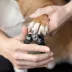Tweezerman Pet Precision Nail Clipper For Dogs & Cats, Includes Auto-Lock Mechanism For Safe Storage image thumbnail 4