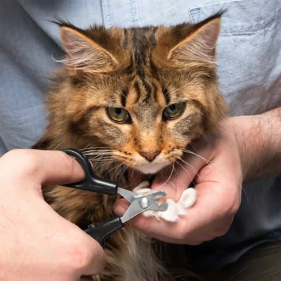 Tweezerman Pet Precision Nail Clipper For Dogs & Cats, Includes Auto-Lock Mechanism For Safe Storage - Image 4