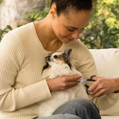 Tweezerman Pet Precision Nail Clipper For Dogs & Cats, Includes Auto-Lock Mechanism For Safe Storage - Image 5