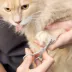 Tweezerman Pet Safety Trimming Scissors, Designed For Trimming Eyes, Ears, Nose & Paws image thumbnail 4