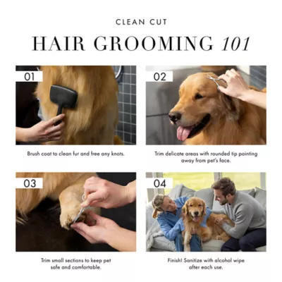 Tweezerman Pet Safety Trimming Scissors, Designed For Trimming Eyes, Ears, Nose & Paws - Image 9