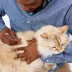 Tweezerman Tick Removal Tweezer For Cats & Dogs W/ Tapered Tweezer Tips For Better Extraction image thumbnail 5