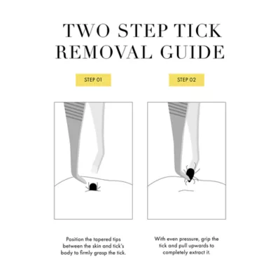 Tweezerman Tick Removal Tweezer For Cats & Dogs W/ Tapered Tweezer Tips For Better Extraction - Image 8