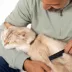 Tweezerman Pet Precision Single Row Flea Comb W/ Finely Spaced Bristles For Cats & Dogs image thumbnail 6