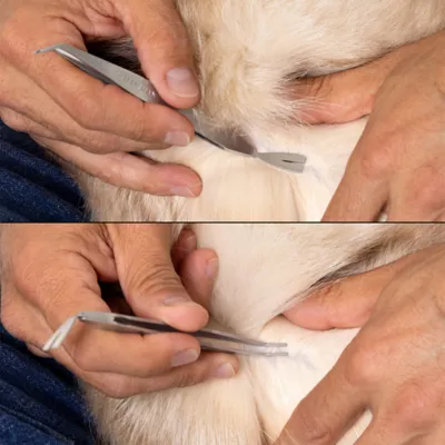Tweezerman Tick Removal Kit W/ Dual-Ended Tweezer & Travel-Friendly Case - Image 6