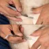Tweezerman Tick Removal Kit W/ Dual-Ended Tweezer & Travel-Friendly Case image thumbnail 6