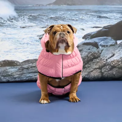 GF PET Elasto-Fit Storm Glide Water-Repellent Dog Parka - Image 5