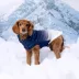 GF PET Elasto-Fit Good Vibes Gradient Dog Hoodie image thumbnail 4
